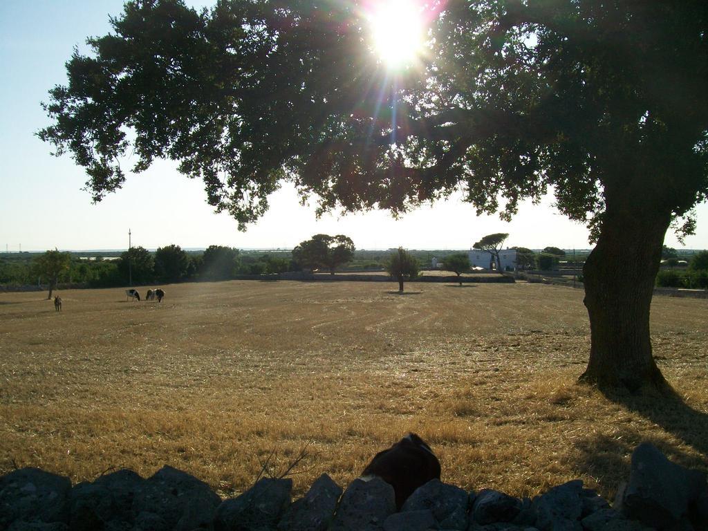 Masseria Del Crocifisso