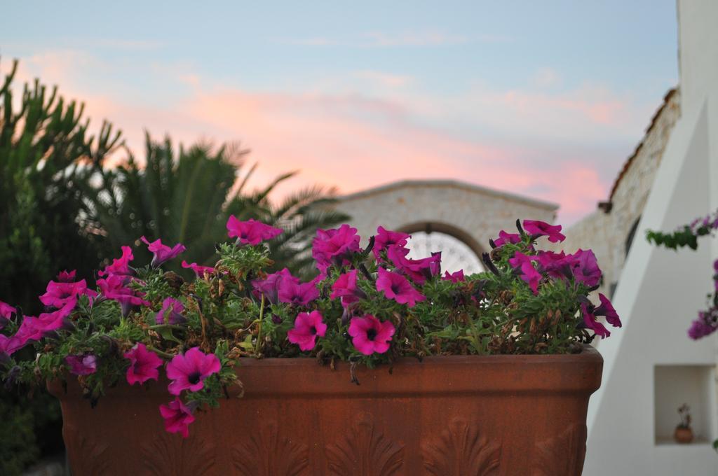 Bauernhof Masseria Del Crocifisso