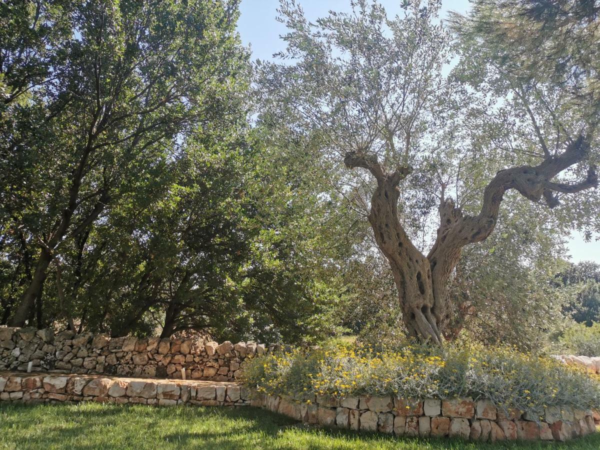 Bauernhof Masseria Del Crocifisso *